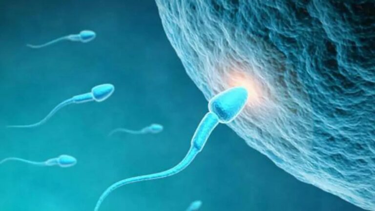 ¿Puedo conseguir un embarazo si no tengo espermatozoides en el semen?